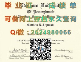 《慕尼黑工业大学毕业证书揭秘：详解全球顶尖工程学府的荣誉凭证》）