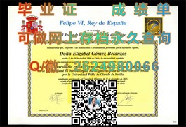 《新加坡共和理工学院毕业证书：全球认可的教育成果展现》）
