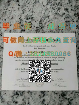 《慕尼黑工业大学毕业证书解析：权威认证，留学求职的加分利器》）