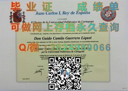 《德克萨斯大学官方毕业证书详解：权威获取途径与认证解析》）
