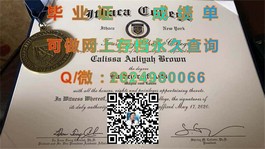 《德克萨斯大学官方毕业证书详解：权威认证，留学必备》）