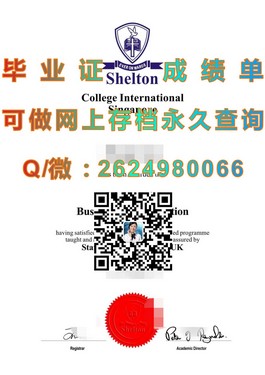 《都柏林理工学院毕业证：揭秘全球认可的硕士学位证书，就业竞争力大揭秘！》）