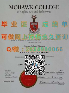 《柏林应用科学大学证书解析：权威学历认证，助你开启国际职场之旅》）