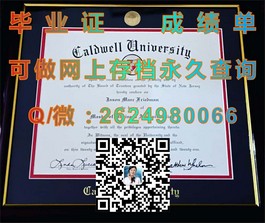 《新南威尔士大学毕业证揭秘：权威认证，开启全球职场新篇章》）