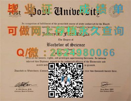 《慕尼黑工业大学毕业证书详解：含金量揭秘与全球认可度解析》）