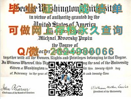 《揭秘都柏林理工学院毕业证书的含金量：全球认可的秘密武器》）