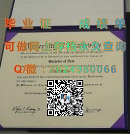 《卧龙岗大学真金不怕火炼：揭秘毕业证含金量，让你留学之路更有信心》）