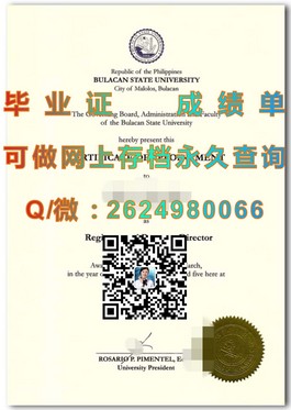 《布里斯托大学学位证书解析：如何获取及认证过程详解》）