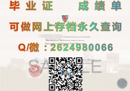 《新加坡共和理工学院毕业证书详解：权威认证，留学新选择揭秘》）