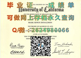 《杏林大学毕业证书解析：权威认证，开启全球学术之门》）