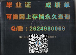 《揭秘都柏林理工学院毕业证含金量：全球认可，就业前景广阔》）