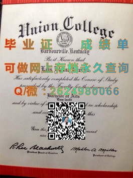 《布里斯托大学毕业证书解析：权威认证，留学归国必备凭证》）