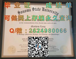 《新南威尔士大学毕业证书揭秘：学位含金量与认证详解》）