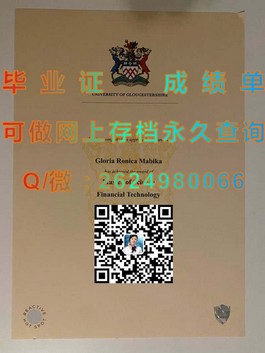 《法国威勒高等商学院：毕业证书含金量揭秘，名校认证助力职场飞跃》）