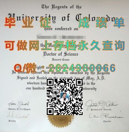 《新加坡共和理工学院毕业证书：权威认证，开启全球就业新篇章》）