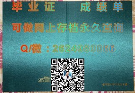 《新加坡共和理工学院毕业证书含金量揭秘：就业前景与职场认可度分析》）