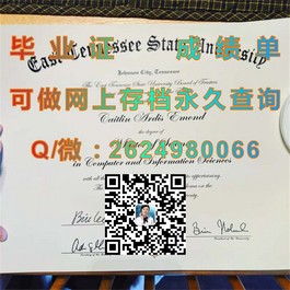《卧龙岗大学官方认证毕业证书解析：留学回国就业的加分项》）