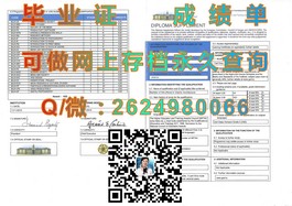 《怀卡托大学学历认证攻略：全面揭秘毕业证书的魅力与价值》）