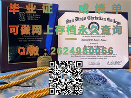 《都柏林理工学院毕业证揭秘：权威认证，开启全球就业新篇章》）