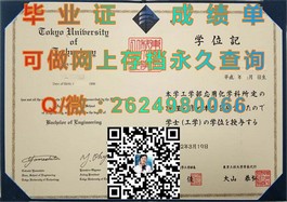 《都柏林理工学院毕业证书详解：如何辨别真伪与价值解析》）