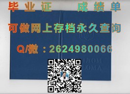 《圣安德鲁斯大学证书背后的传奇：揭秘世界顶级学府的荣耀通行证》）