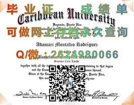 《新南威尔士大学文凭解析：全球认可，开启精英职业之路》）