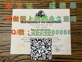 《新南威尔士大学毕业证书揭秘：权威认证，全球认可的国际精英证书》）