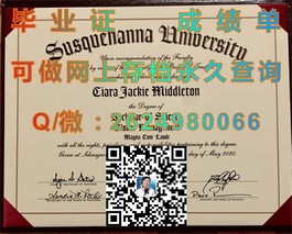 《怀卡托大学证书解析：揭秘全球认可度与求职优势》）