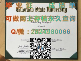 《柏林应用科学大学文凭解析：全球认可，就业前景广阔的学历证书》）