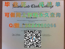《揭秘都柏林理工学院毕业证书含金量：全球认可，就业前景广阔》）