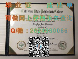 《普利茅斯大学文凭深度解析：成绩单与毕业证样本全揭秘》）