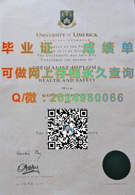 《伦敦南岸大学文凭样本大揭秘：真实成绩单样式深度解析》）