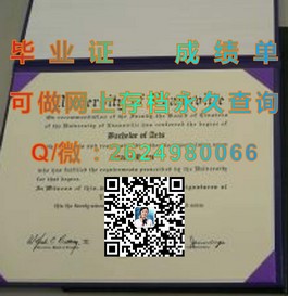 《伦敦大学亚非学院文凭样本揭秘：真实成绩单样式一览》）