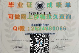 《纽卡斯尔大学文凭样本深度解析：成绩单与毕业证全解析》）