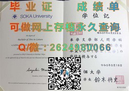 《揭秘伯明翰大学文凭样本：真实成绩单解析与获取途径》）