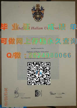 《萨里大学文凭揭秘：真实成绩单与毕业证样本深度解析》）