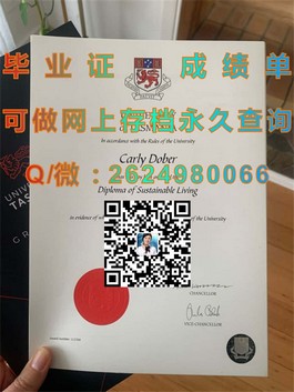《深度揭秘：伦敦大学皇家霍洛威学院毕业证文凭成绩单样本详解，留学必备！》）