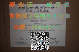 《梅努斯大学毕业证文凭成绩单样本大揭秘：真实模板解析与留学参考》）