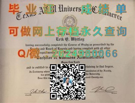 《揭秘都柏林城市大学真文凭样本：成绩单详解，助你留学无忧》）