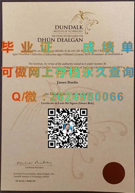 《爱尔兰国立大学文凭样本大揭秘：成绩单与毕业证全解析》）