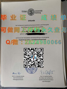 《布鲁奈尔大学文凭样本揭秘：成绩单细节一览，留学参考必备》）