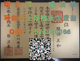 《梅努斯大学文凭真伪鉴别指南：成绩单样本深度解析》）