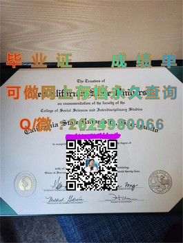 《深度揭秘：南安普顿索兰特大学文凭样本，助你轻松识别真伪》）