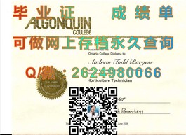 《利兹城市大学文凭样本深度解析：成绩单揭秘，助你了解真实学位证书》）