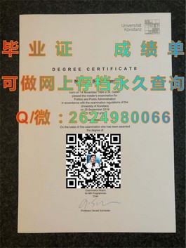 《深度揭秘：新南威尔士大学文凭样本解析，助你轻松识别真伪》）