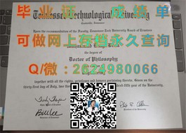 《奥塔哥大学毕业证样本解析：文凭成绩单细节一览》）