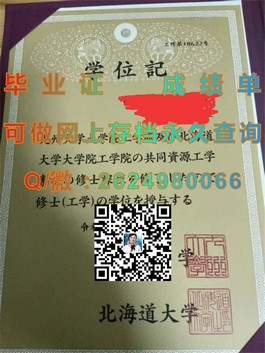 《北大西洋学院毕业证、文凭及成绩单样本深度解析，留学必备指南》）