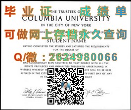 《苏塞克斯大学文凭样本详解：成绩单、毕业证全解析》）