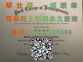 《深度揭秘：莱斯特大学文凭样本解析，成绩单模板大公开》）