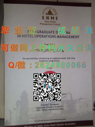 《斯文本科技大学文凭：开启职场新篇章，成就未来精英》）